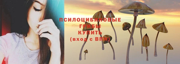 твердый Володарск