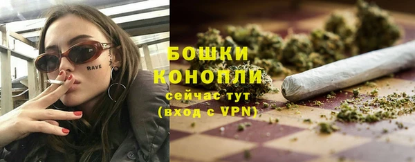 гидра Волоколамск